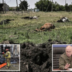 russia-accused-of-dumping-anthrax-infected-cattle-carcasses-in-ukraine:-‘-biological-terrorism’