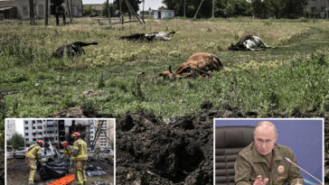 russia-accused-of-dumping-anthrax-infected-cattle-carcasses-in-ukraine:-‘-biological-terrorism’