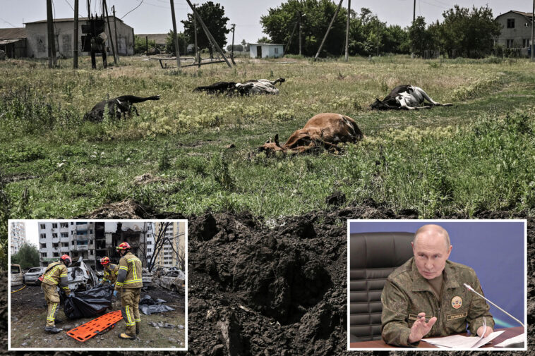 russia-accused-of-dumping-anthrax-infected-cattle-carcasses-in-ukraine:-‘-biological-terrorism’