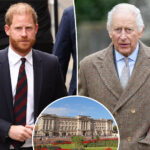 king-charles-yanks-invitation-for-prince-harry-to-stay-at-buckingham-palace-during-uk-visit