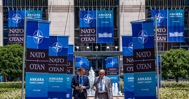 zelensky-tells-nato-he-wants-‘strong-decisions’-ahead-of-trump-meeting-at-this-week’s-crunch-summit