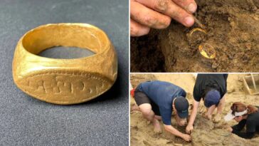 ancient-gold-rings-found-during-dig-at-thailand-archaeological-site