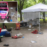 boy,-6,-whose-dad-was-fatally-shot-before-he-was-born,-takes-bullet-to-chest-during-coney-island-mass-shooting