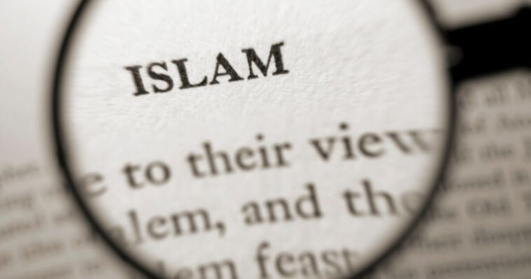 watch:-muslim-goes-viral-shouting,-‘this-is-the-islamic-republic-of-new-yorkistan…-mamdani’s-new-york,’-claims-‘islam-will-be-in-every-household’