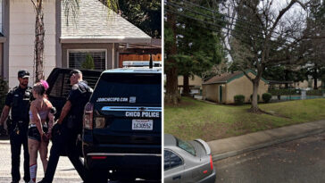 burglar-suspect-seen-in-bizarre-arrest-picture-—-after-making-hilariously-dumb-escape-error
