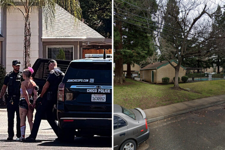 burglar-suspect-seen-in-bizarre-arrest-picture-—-after-making-hilariously-dumb-escape-error