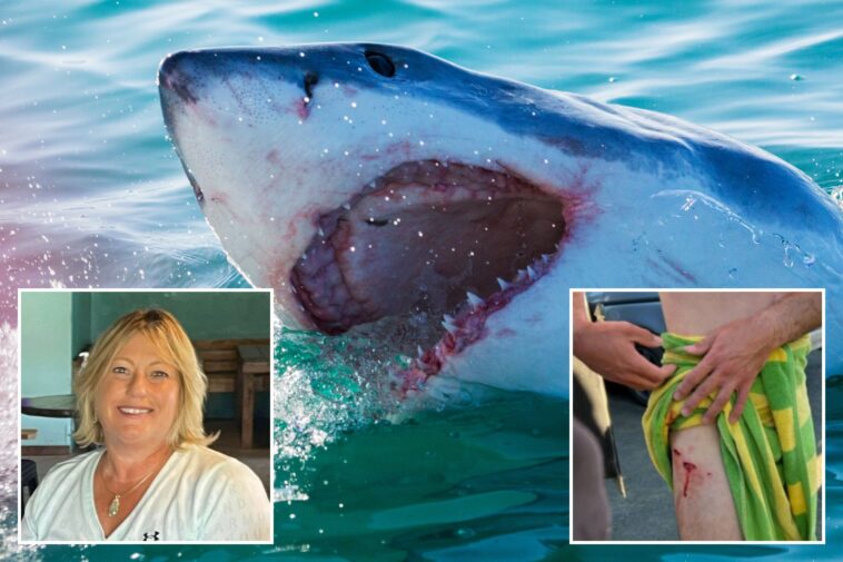 why-shark-attacks-in-us-waters-are-already-nearing-double-figures-even-though-summer-just-kicked-off