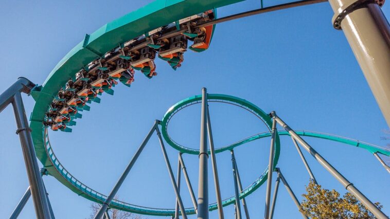 terrifying-scene-unfolds-at-six-flags-as-storm-toppled-tree-sends-4-guests-to-hospital