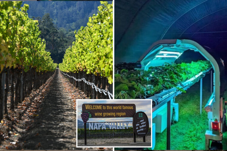 future-of-napa-valley-revealed-in-dystopian-videos-—-and-it-could-spark-region’s-biggest-ever-jobs-bloodbath