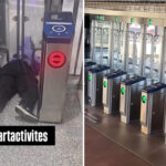 wild-video-captures-moment-woman-is-snared-by-new-traps-at-san-francisco-bart-station