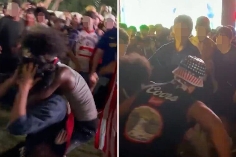 massive-brawl-breaks-out-inside-fifa-fanzone-on-national-mall-during-usmnt-world-cup-game