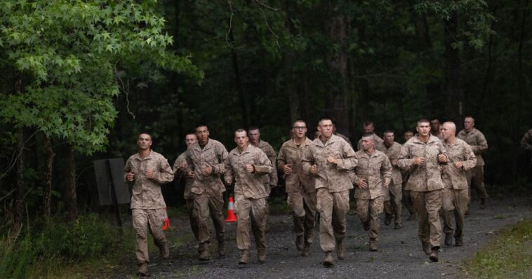 watch:-local-marines-lead-crowd-of-flag-carrying-civilians-on-run-through-central-park,-working-to-restore-patriotism