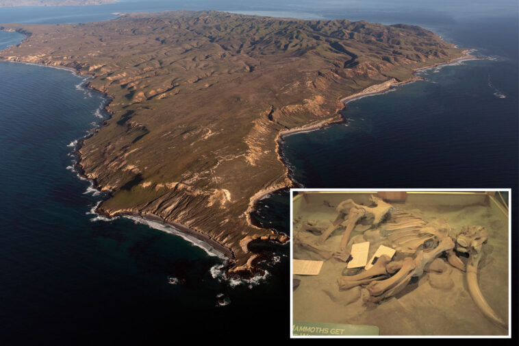 13,000-year-old-bones-found-near-socal-coast-could-rewrite-human-history