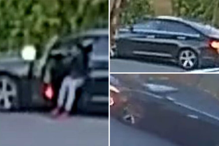 terrifying-moment-armed-kidnapper-pistol-whips-woman-with-a-glock-before-shoving-her-into-car