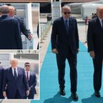 why-trump’s-hand-movements-bode-well-for-turkey’s-big-asks-at-nato-summit:-body-language-expert