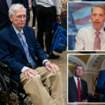 sen.-mitch-mcconnell,-84,-calls-gop-allies-from-hospital-to-dispel-internet-chatter-he’s-‘brain-dead’