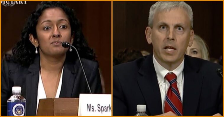 trump-appointed-federal-judge-smashes-ruling-by-foreign-born-activist-judge-—-reinstates-critical-voter-system-to-root-out-illegal-alien-voters
