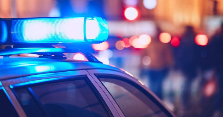 breaking:-suspected-illegal-dead-after-trying-to-run-over-ice-agent-who-has-excellent-aim