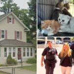 155-animals-and-counting-rescued-from-long-island’s-urine-infested-house-of-horrors:-‘we’ll-get-them-all’