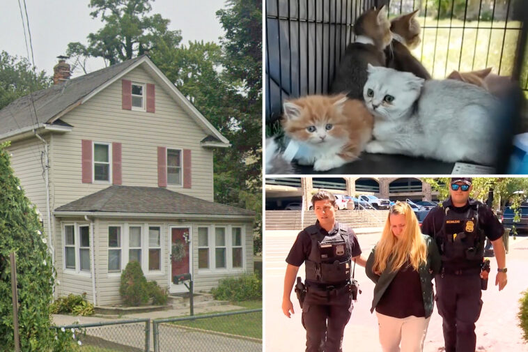 155-animals-and-counting-rescued-from-long-island’s-urine-infested-house-of-horrors:-‘we’ll-get-them-all’