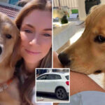 socal-woman-on-mexican-beach-vacation-with-her-beloved-dog-shot-in-attempted-carjacking
