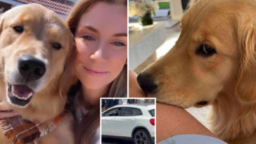 socal-woman-on-mexican-beach-vacation-with-her-beloved-dog-shot-in-attempted-carjacking