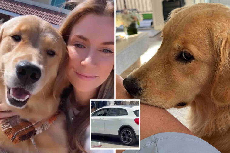socal-woman-on-mexican-beach-vacation-with-her-beloved-dog-shot-in-attempted-carjacking