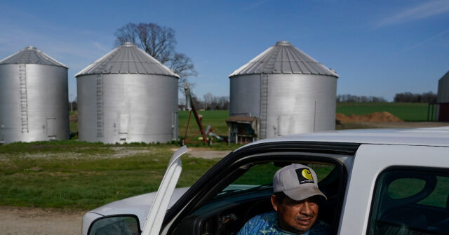 tom-homan:-blue-sanctuary-states-hiding-dangerous-illegal-migrant-truckers