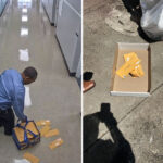 da-launches-probe-into-claims-long-island-school-clerk-trashed-ballots-to-help-dj-win-election