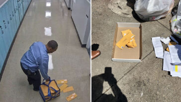 da-launches-probe-into-claims-long-island-school-clerk-trashed-ballots-to-help-dj-win-election