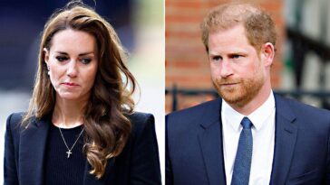 kate-middleton-refuses-to-pull-prince-william-back-into-prince-harry’s-‘circus’:-expert