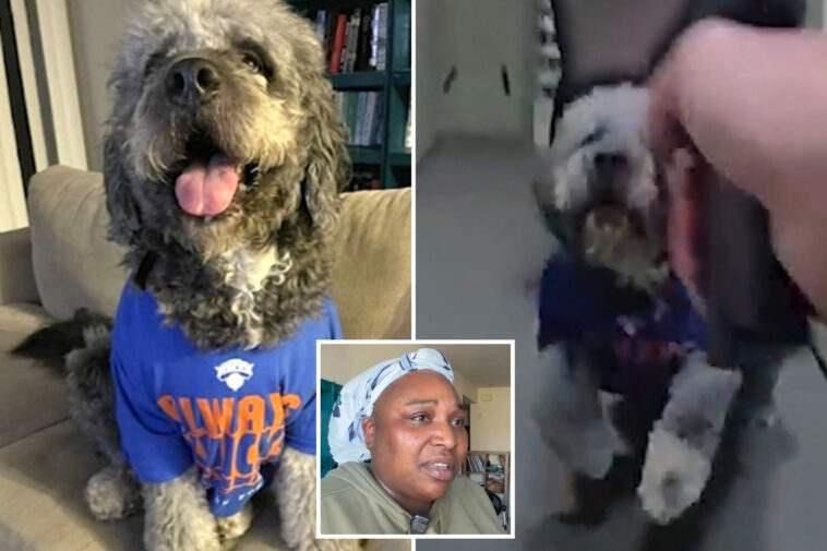 lapd’s-stunning-decision-in-case-of-cop-who-shot-dog-dead