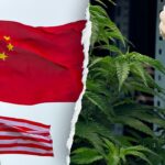 former-acting-dhs-secretary-warns-chinese-criminal-organizations-are-infiltrating-america’s-hemp-industry