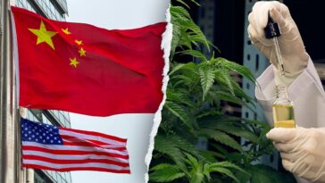 former-acting-dhs-secretary-warns-chinese-criminal-organizations-are-infiltrating-america’s-hemp-industry