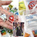 unhinged-taylor-swift-fanatics-are-buying-cubes-of-nyc-street-trash-collected-around-msg-for-$25-a-pop-—-including-an-ovulation-test-kit
