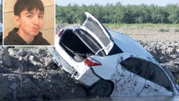 california-high-school-student,-15,-dies-after-driving-into-a-canal-under-strange-circumstances