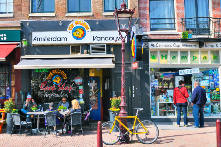 california-city-votes-to-transform-into-amsterdam-pot-smoker’s-paradise