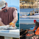 civil-war-erupts-as-indigenous-tribe-moves-to-ban-fishing-in-coastal-california-enclave