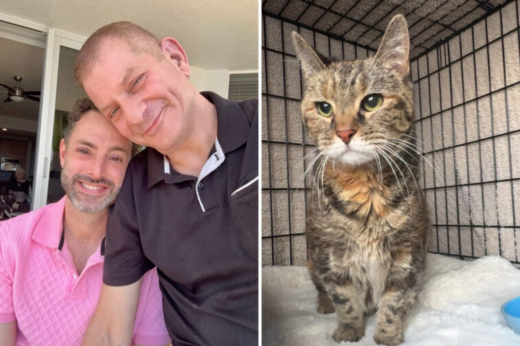 cat-survives-more-than-a-week-trapped-inside-nyc-home-that-was-sealed-by-cops-after-owners-died-unexpectedly