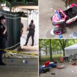 cops-nab-suspect-in-july-4th-shooting-at-family-cookout-that-left-8-wounded-—-including-4-children