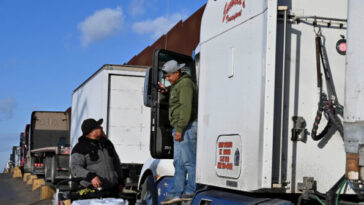ten-states-enable-vast-majority-of-migrant-truckers-who-can’t-speak-english