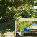 scarsdale-26-year-old-charged-with-stabbing-and-killing-mom-at-her-home-—-nyc-suburbs’-first-homicide-in-a-decade