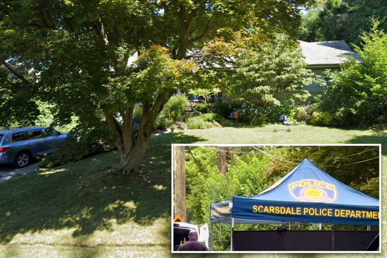 scarsdale-26-year-old-charged-with-stabbing-and-killing-mom-at-her-home-—-nyc-suburbs’-first-homicide-in-a-decade