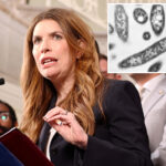 council-speaker-julie-menin-demands-nyc-ordered-cooling-tower-inspections-to-stop-legionnaires’-disease-spread