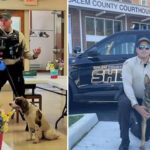 nj-cop-in-charge-of-k-9-unit-charged-after-leaving-two-police-dogs-to-die-in-hot-car-for-7-hours:-report