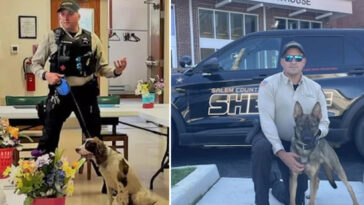 nj-cop-in-charge-of-k-9-unit-charged-after-leaving-two-police-dogs-to-die-in-hot-car-for-7-hours:-report