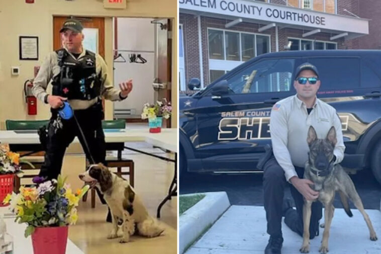nj-cop-in-charge-of-k-9-unit-charged-after-leaving-two-police-dogs-to-die-in-hot-car-for-7-hours:-report