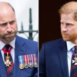 prince-william-‘no-longer-recognizes’-prince-harry-as-security-battle-leaves-duke-‘close-to-tears’:-expert