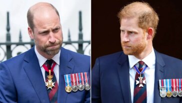 prince-william-‘no-longer-recognizes’-prince-harry-as-security-battle-leaves-duke-‘close-to-tears’:-expert
