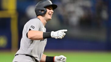 betmgm-bonus-code-nypmax1550:-get-up-to-$1,550-in-bonus-value-for-yankees-vs.-rays